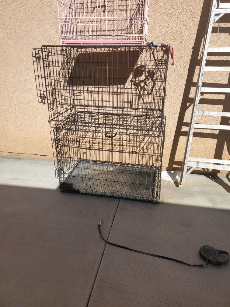 Haula Para Perros Tengo 3