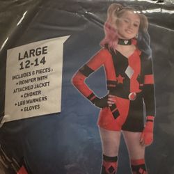 2 youth harley quinn costumes, L & XL