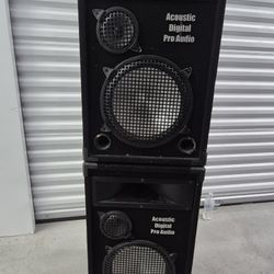 Acoustic Digital Pro-Audio Speakers