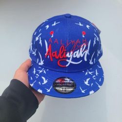 AALIYAH FITTED HAT