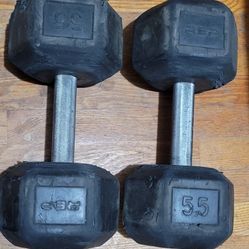 55 lb Dumbbell Pair 