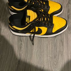 Nike Dunks Size 10