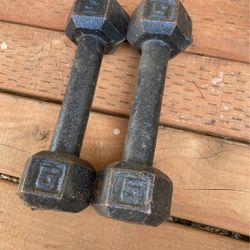 5lb Dumbbells