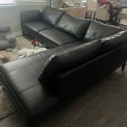 L Shaped Couch