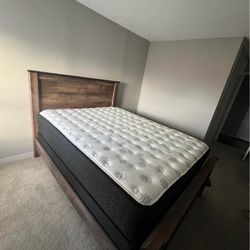 Bed.  Quien Size   And Box Sprin.    