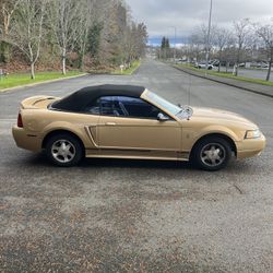 2000 Ford Mustang