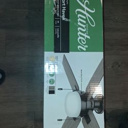 Hunter Ceiling Fan