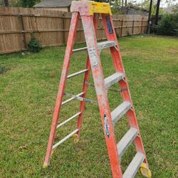 Werner 6ft Ladder 
