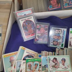 Crazy Sports Baseball Basketball  Card Lot Rookie Ken Griffey Psa 7 4th Year Michael Jordan