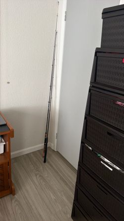 Fishing Rod with Cork Handle (2)