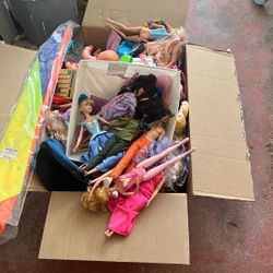 Barbies And Dolls