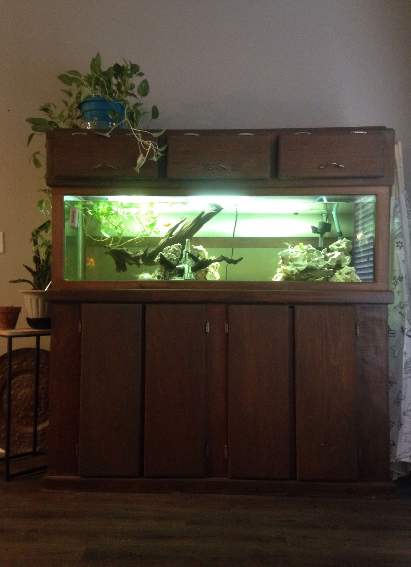 120 gallon fish tank
