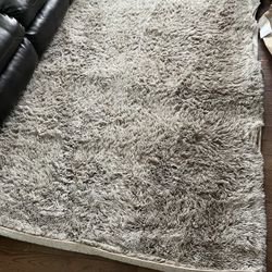 Almost Never used Cozy Grey Carpet 