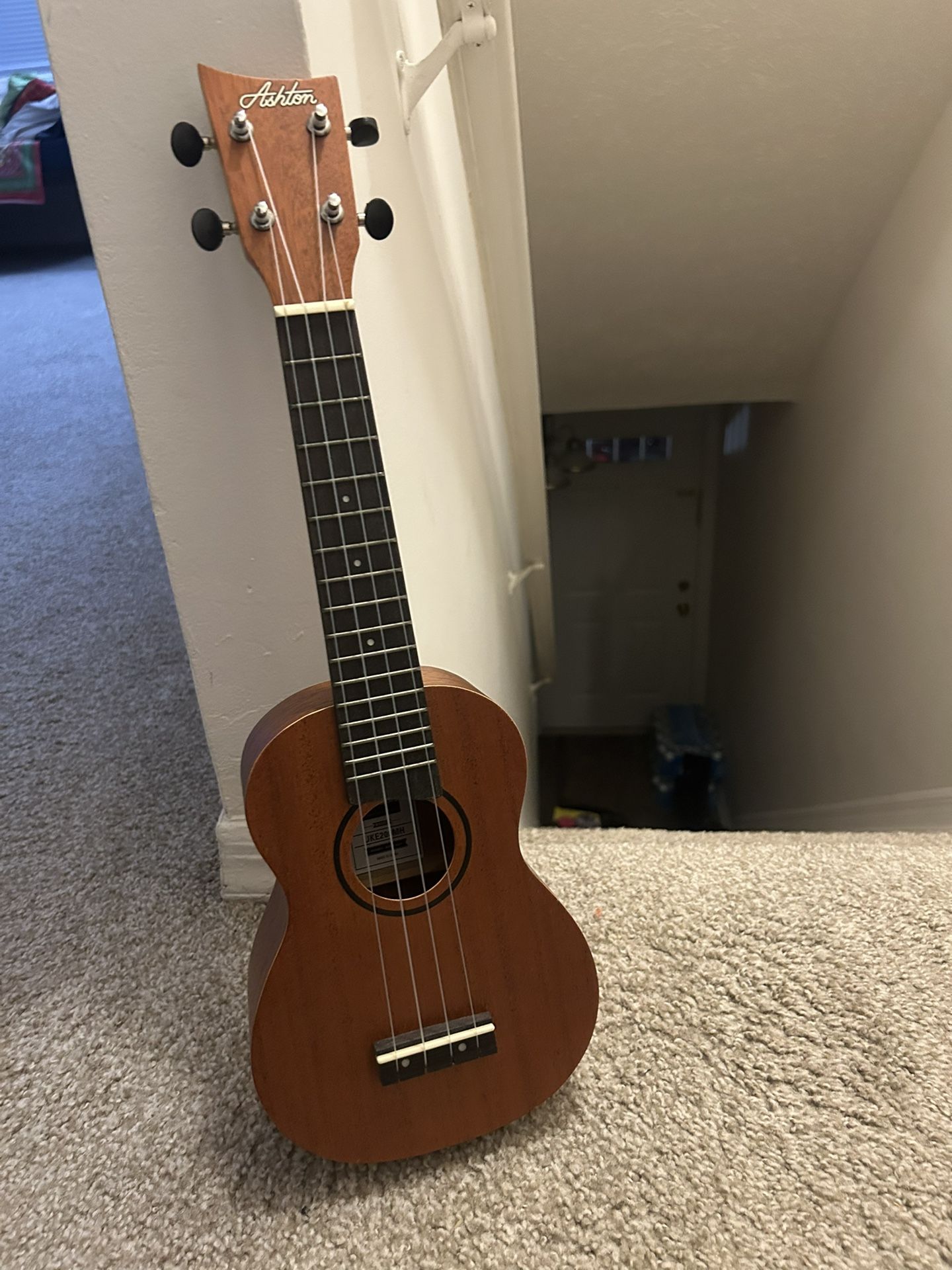 Ukulele Music Instrument