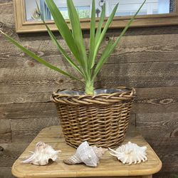 Dark Brown Lined Wicker Basket For Plants Large Woven 