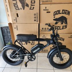 New Meelod Dk200f Electric Bike 
