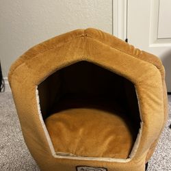 Cat House 