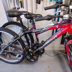 His and hers bicycles