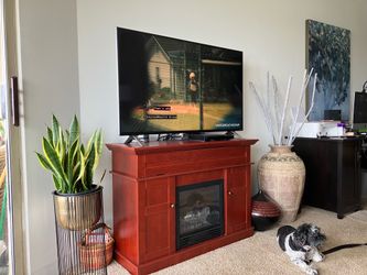 48” LG TV