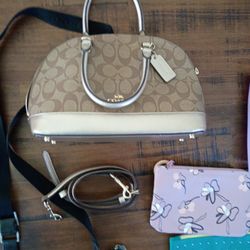 COACH PURSE N BAG 