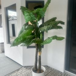 6ft Artificial Ashland Tree Arbre plant