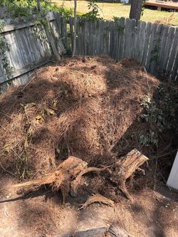 [Free] Compost starter