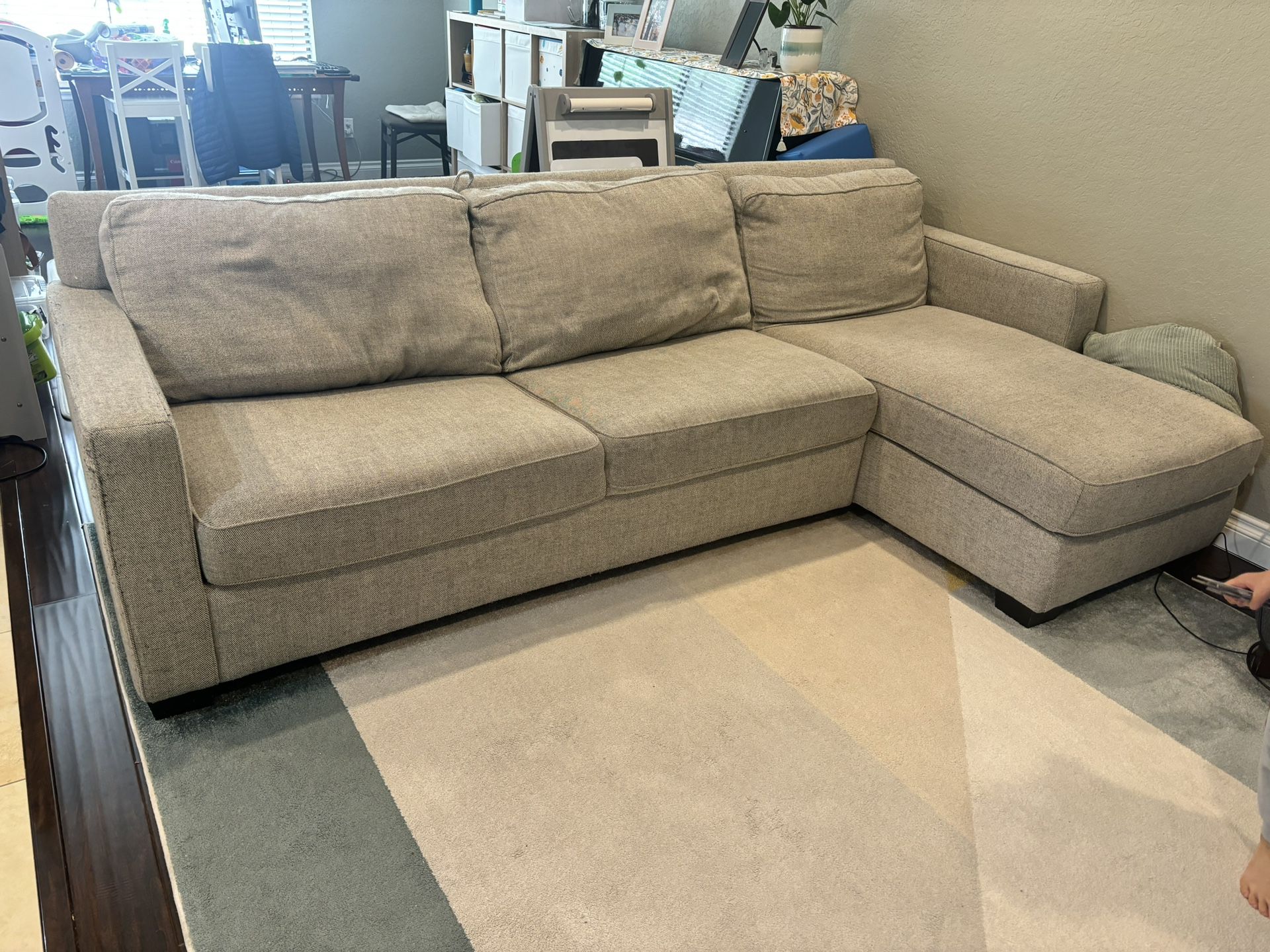 Sectional Couch With Pull Out Bed 