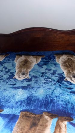 King size bed