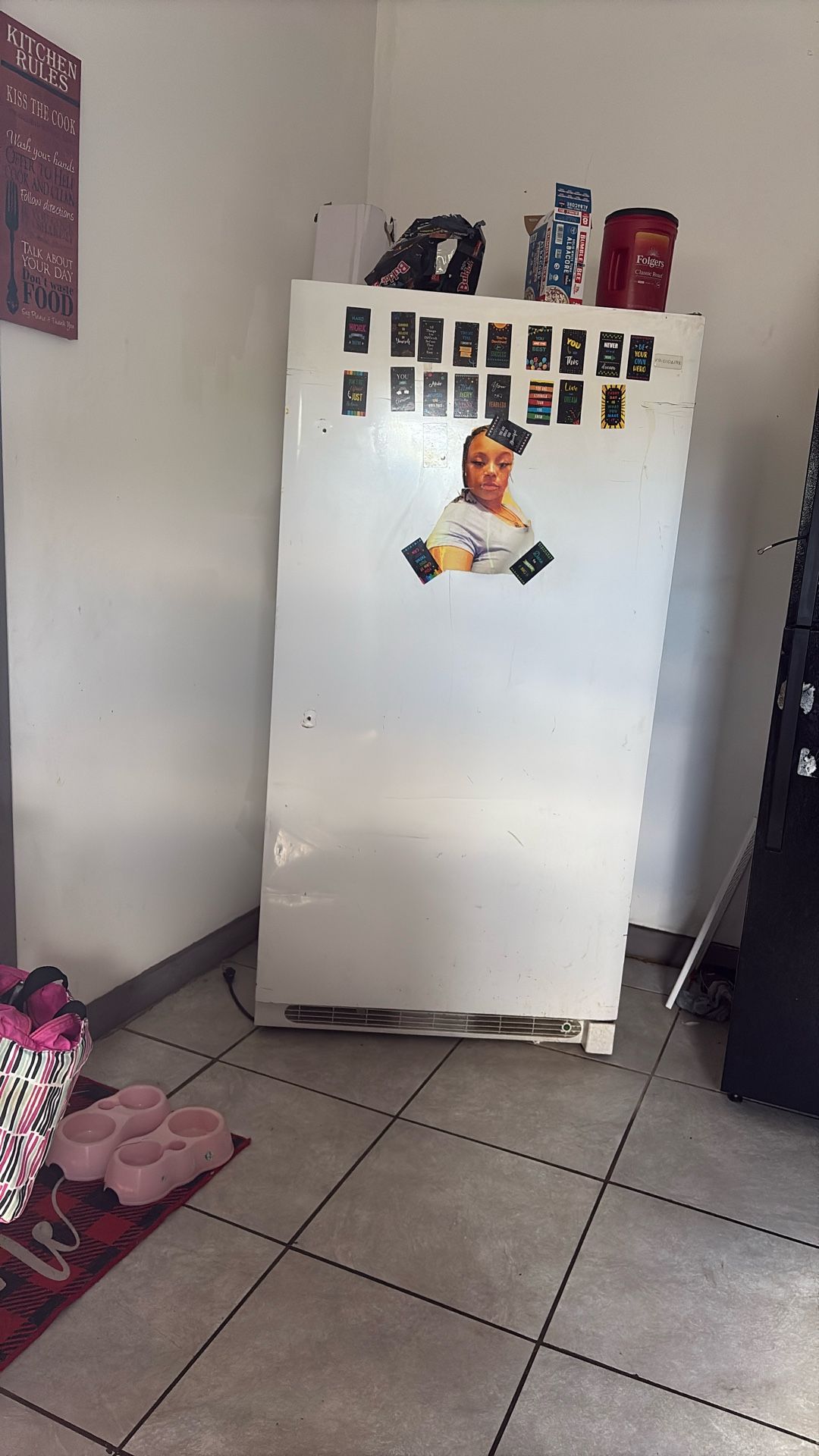 Upright White Deep Freezer 