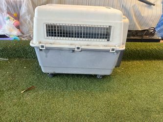 XXL. Large Hard Shell Pet Travel Crate with Wheels