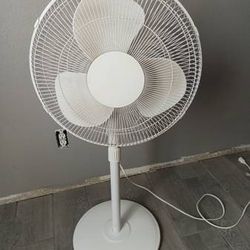 Pedestal Fan 