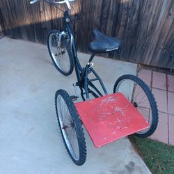 Bayside Trike 1 Speed