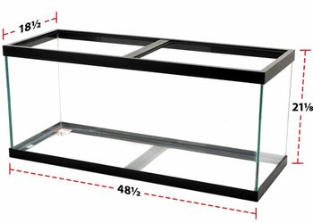 75 -long gallon tanks.