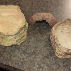 Reptile Hide And Water Dishes