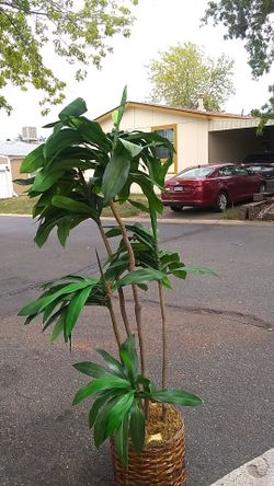 Home made painting selling for $20