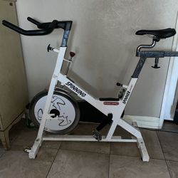 Star Trac Spinner Ascent