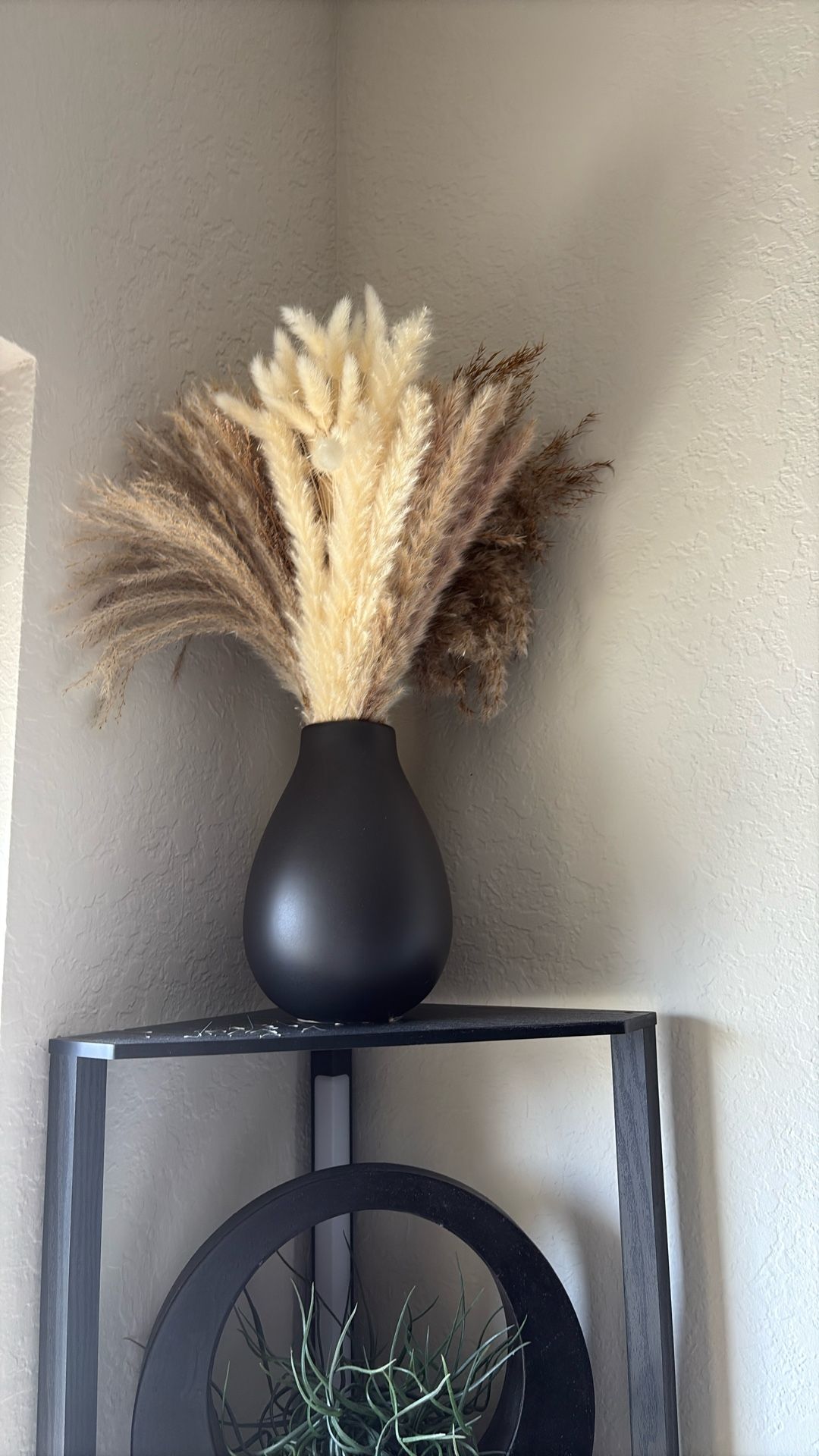 pampas grass