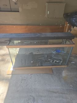 Fish tank