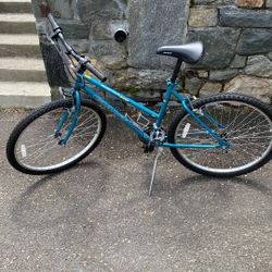 Adult Bike