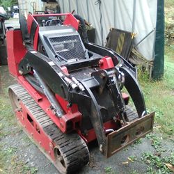 toro dingo