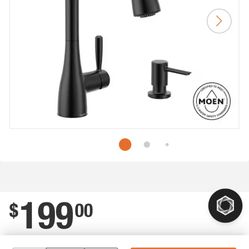MOEN Sink 