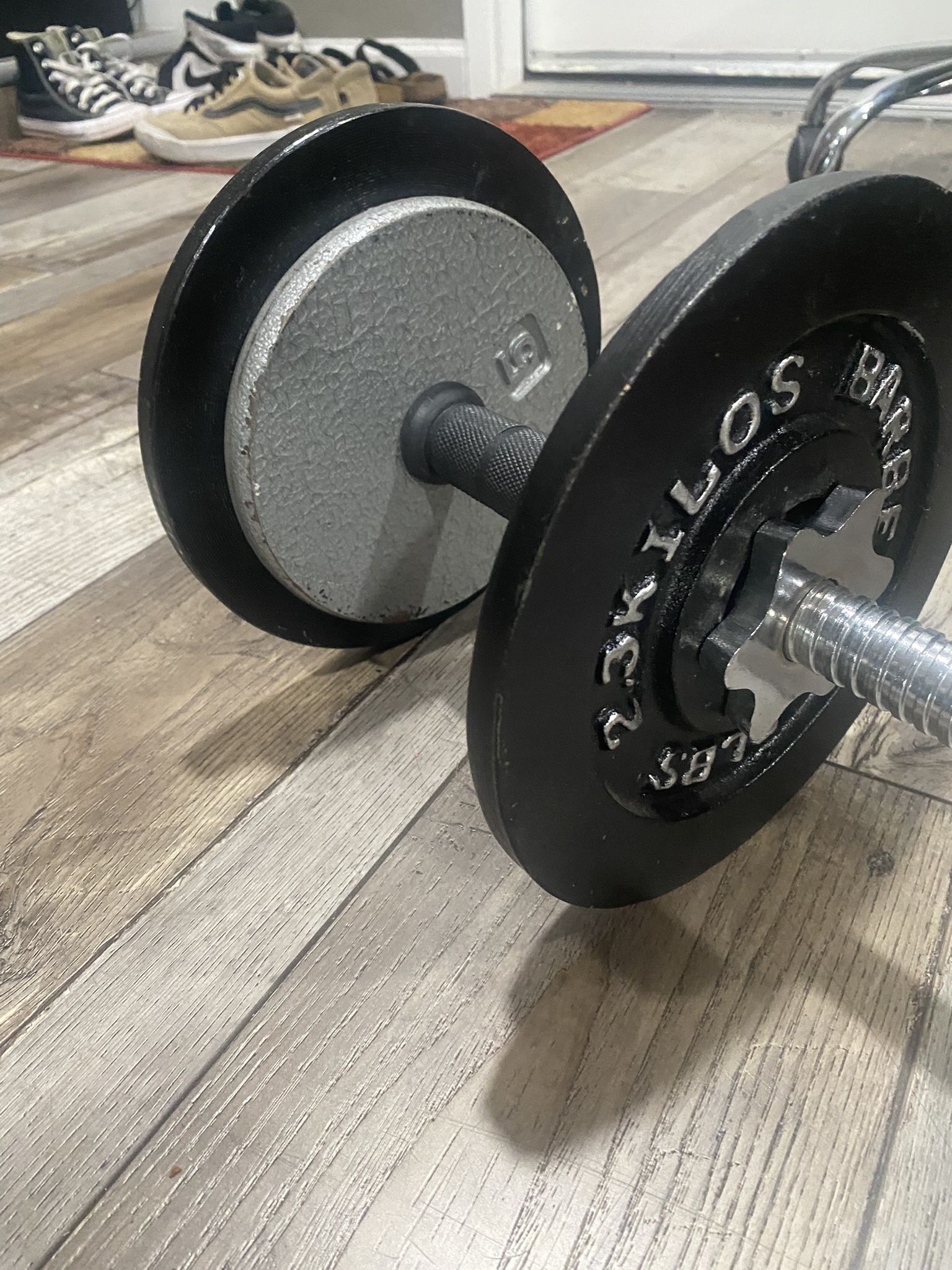 25lb Dumbbell