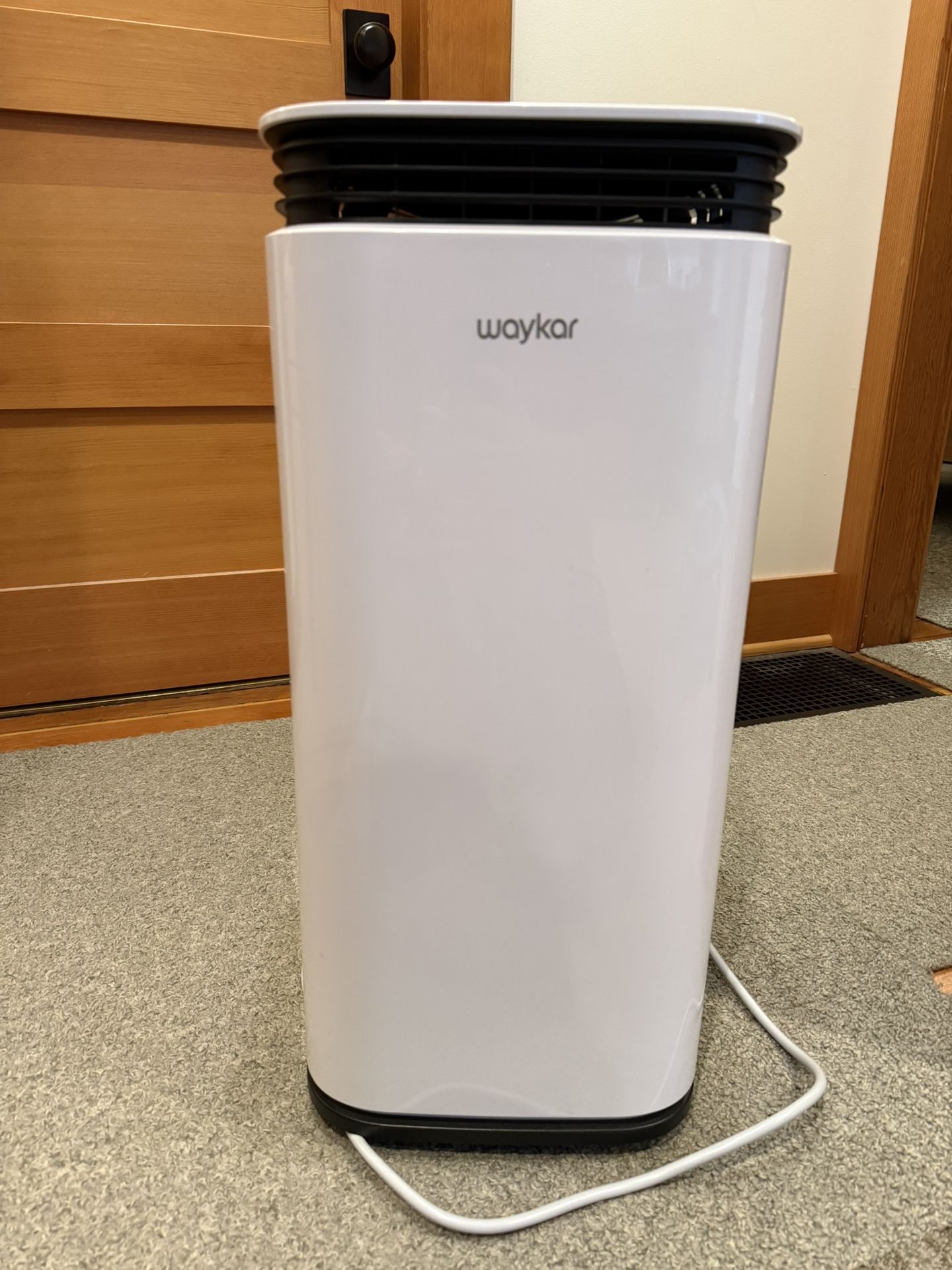 Waykar Dehumidifier