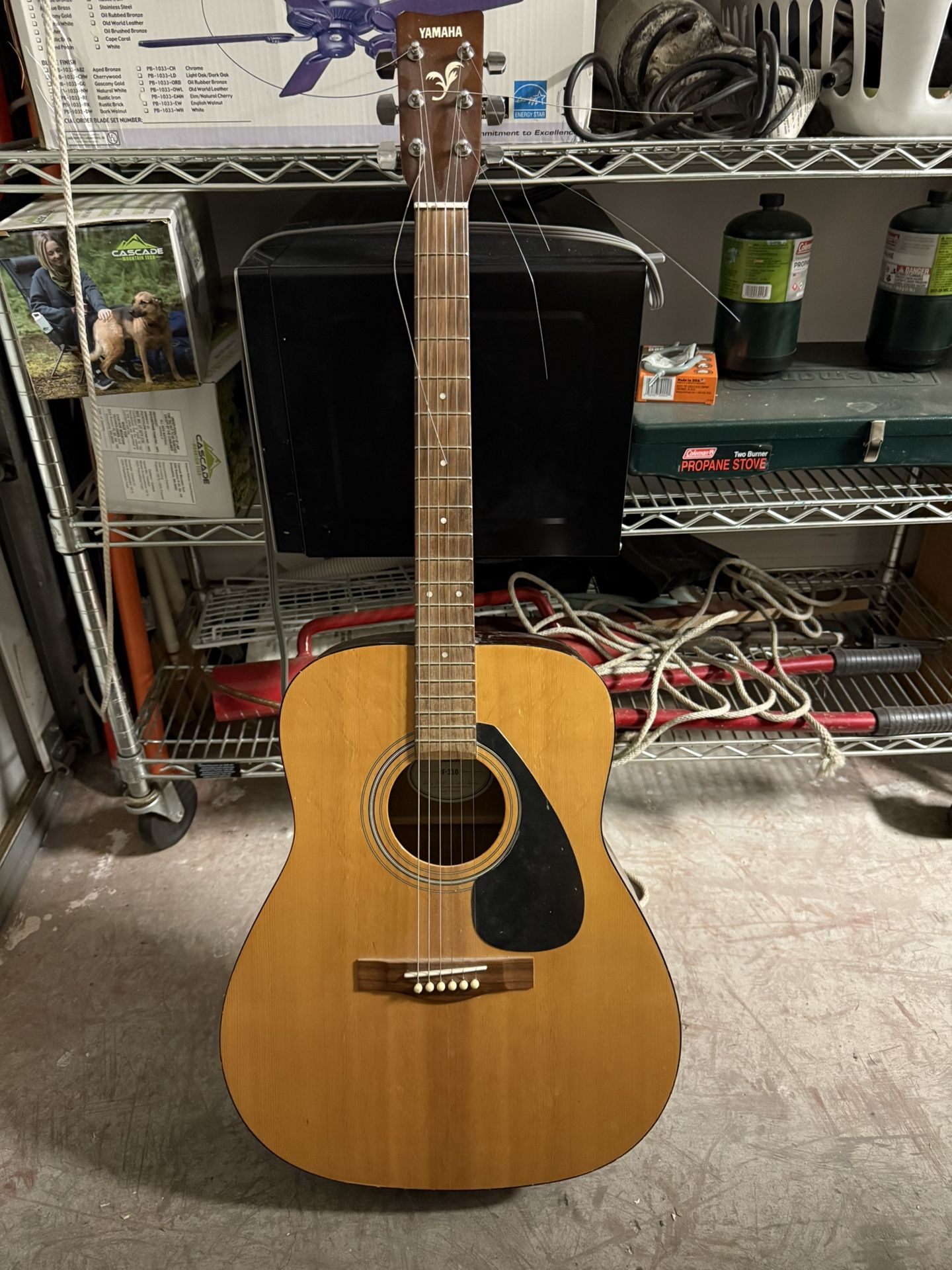 Guitar