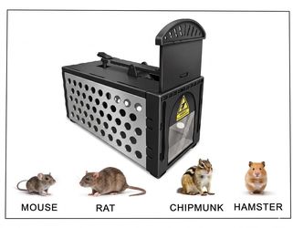 Rat Traps