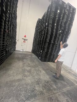 Plastic Pallets 