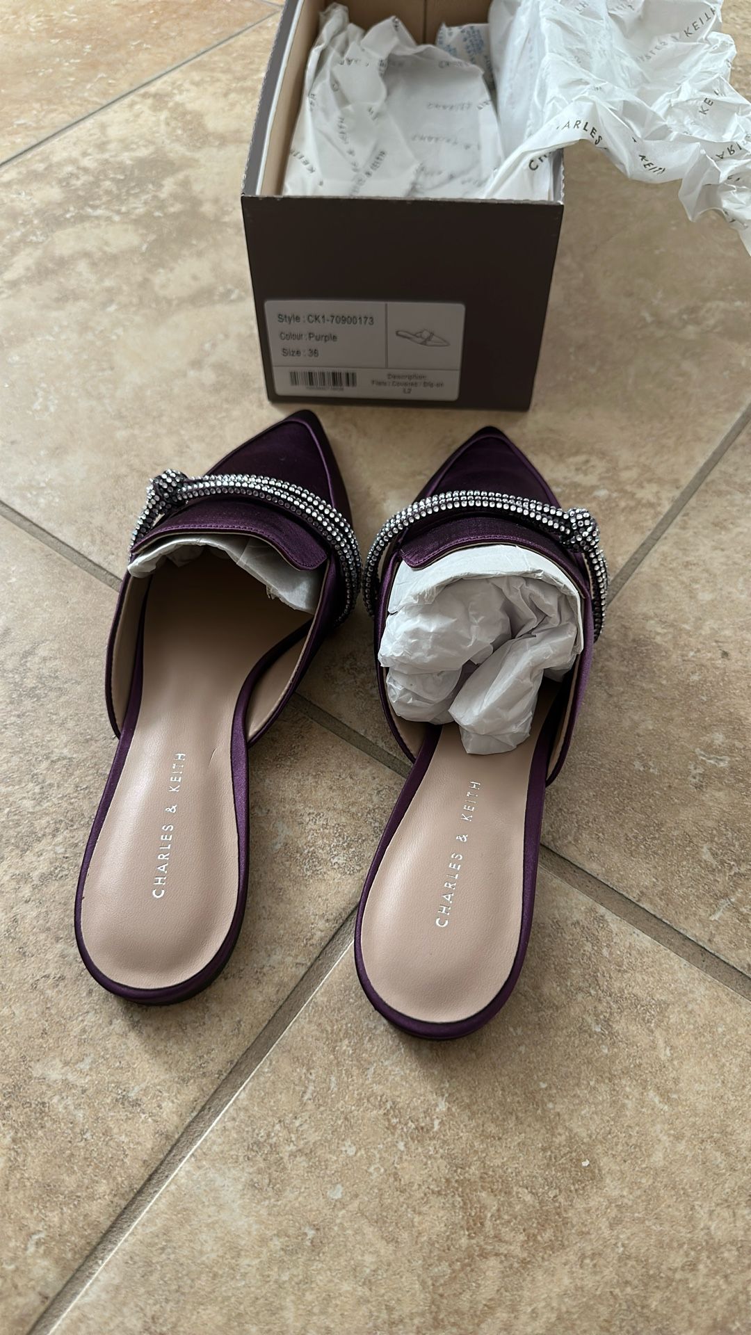 Charles &Keith Purple Flats