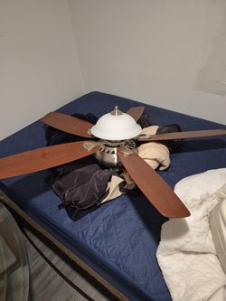 Great fan like new