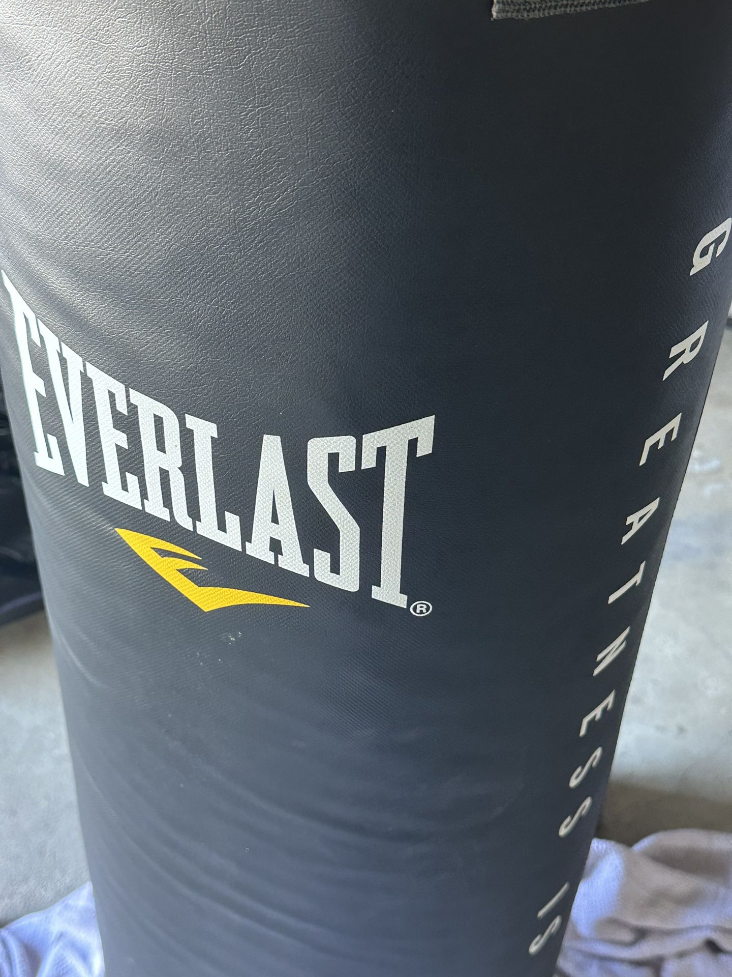 Everlast Punching Bag.