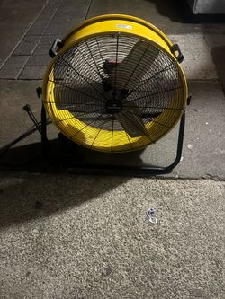 Fan